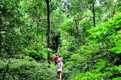 Bali Jungle Trekking in Beautiful Rainforest - Private guide + air-conditioned vehicle: the practical side