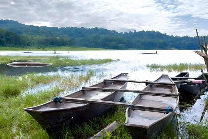 Bali Jungle Trekking in Beautiful Rainforest - Tamblingan Lake: one full hour with admission included