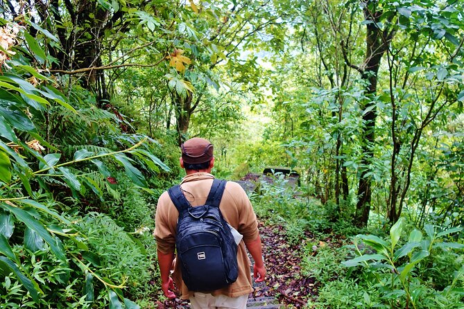 Bali Jungle Trekking in Beautiful Rainforest - After the trek: dugout canoe time + buffet lunch reset