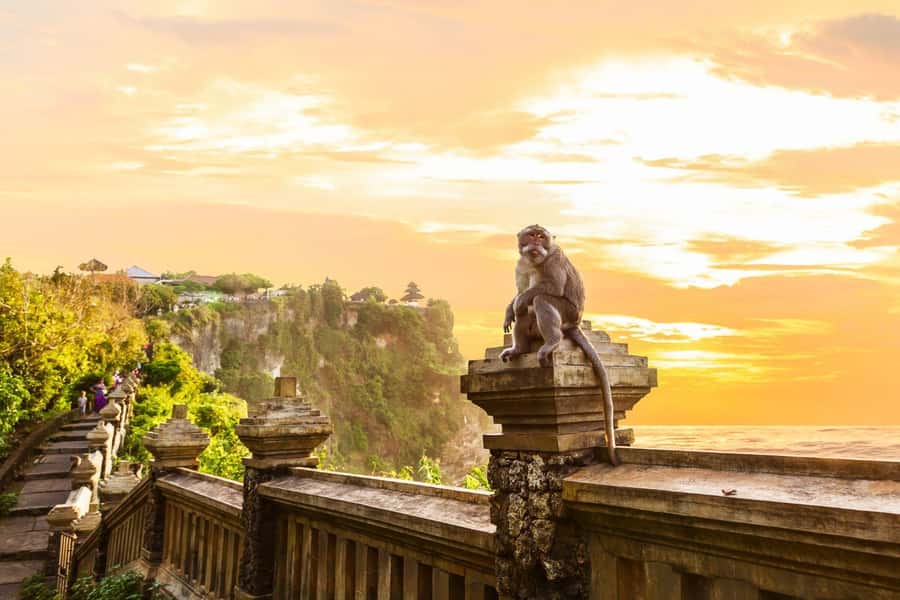 Bali: Kecak Fire Dance Entry Ticket and Uluwatu Temple - Transfer options and pickup drop-offs: when having a guide pays off