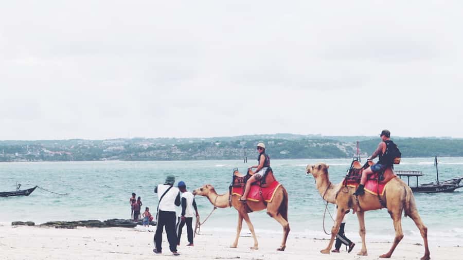 Bali: Kelan Beach Camel Rides Experiences - Key points to know before you go