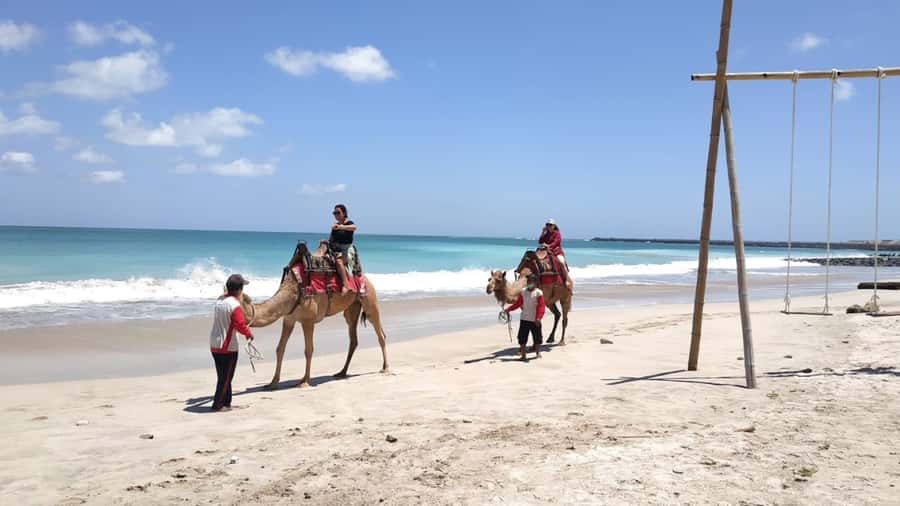 Bali: Kelan Beach Camel Rides Experiences - Kelan Beach camel rides: why the Indian Ocean setting matters