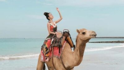 Bali: Kelan Beach Camel Rides Experiences - Getting set up: welcome, changing room, and the quick riding lesson