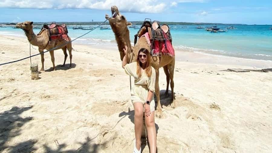 Bali: Kelan Beach Camel Rides Experiences - Price and value in Bali: is $40 reasonable?