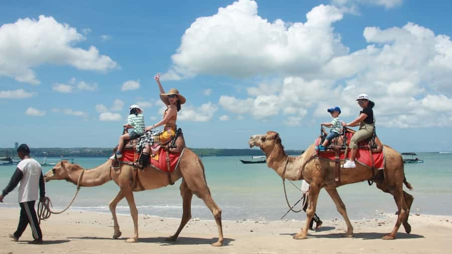 Bali: Kelan Beach Camel Rides Experiences - Who should book Kelan Beach camel rides, and who should skip