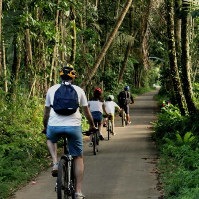 Bali: Kintamani Downhill Bike Tour, Jungle and Waterfalls - Kintamani to Taro: how the downhill day actually flows