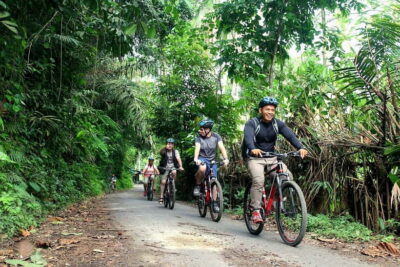 Bali: Kintamani Downhill Bike Tour, Jungle and Waterfalls - That first Mount Batur view: worth the early start