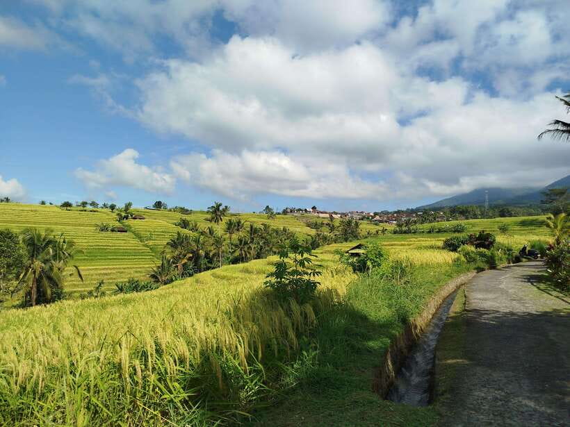 Bali: Lake Temple, Jatiluwih Rice Terrace & Waterfall Tour - The driving, timing, and guide vibe (and why it matters)