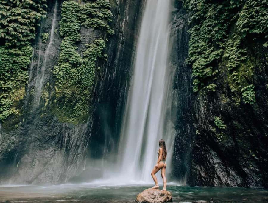 Bali: Leke Leke, Munduk, & Banyumala Waterfalls Private Tour - Price and Value: Why $45 Can Make Sense for a Full-Day Private Tour