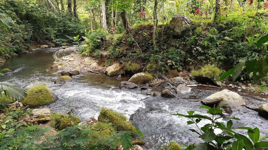 Bali: Leke Leke, Munduk, & Banyumala Waterfalls Private Tour - Who This Tour Suits Best (And Who Should Skip It)