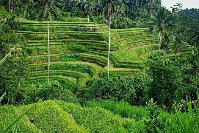 Bali Lempuyang Temple, Waterfall with Rice Terrace Tour - Lempuyang Temple and the Heaven Gate Moment
