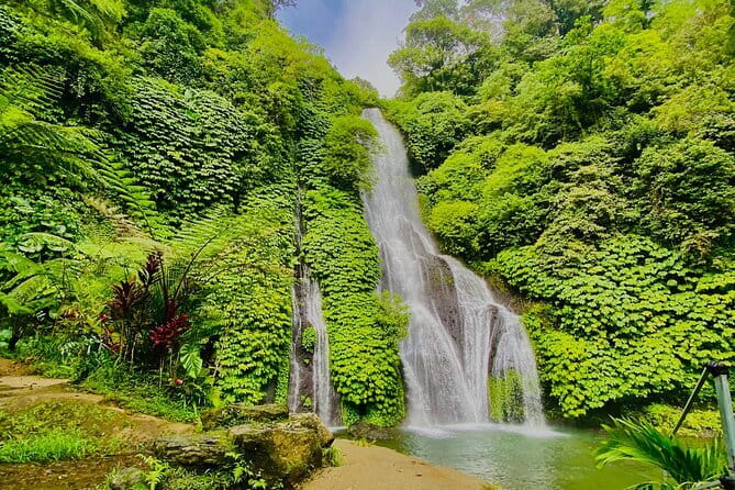 Bali Lempuyang Temple, Waterfall with Rice Terrace Tour - Tegalalang Rice Terrace and Subak: UNESCO Irrigation in Action
