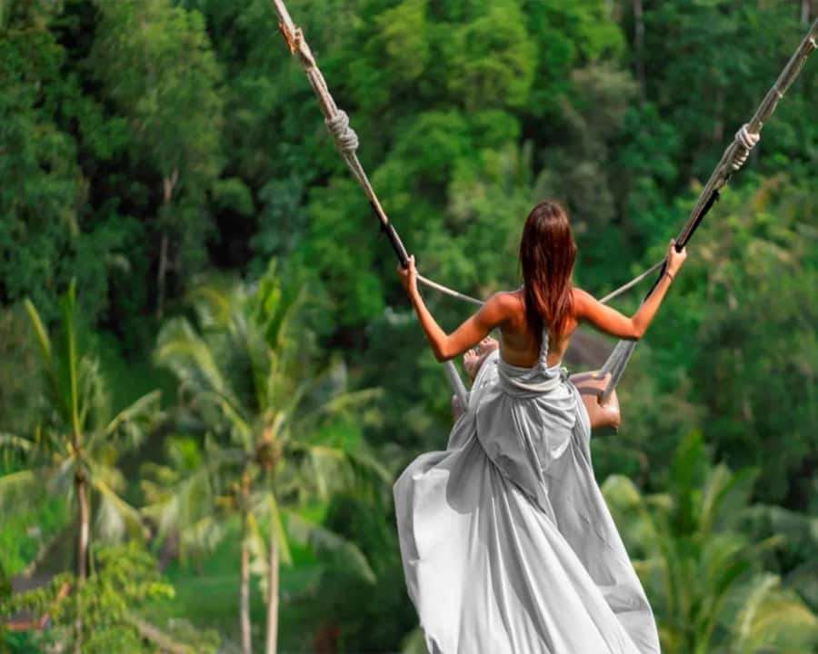 Bali: Local Village and School Tour with Lunch - Rice Field Walk and Traditional Plowing Try-Out