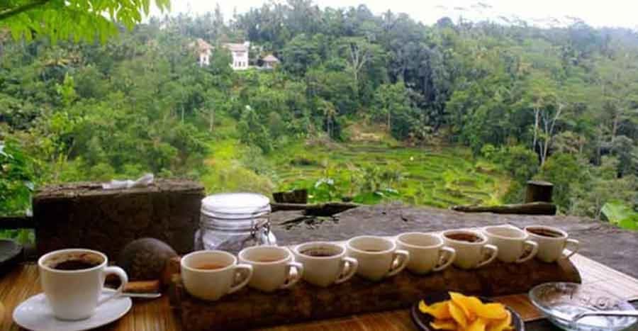 Bali: Local Village and School Tour with Lunch - Food and Craft Workshops: Satay Lilit, Offerings, Coconut Oil, Coffee
