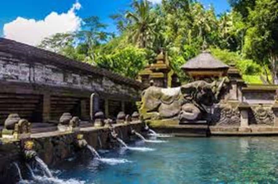 Bali: Local Village and School Tour with Lunch - Lunch Time With JOGED Music and Dance Performances
