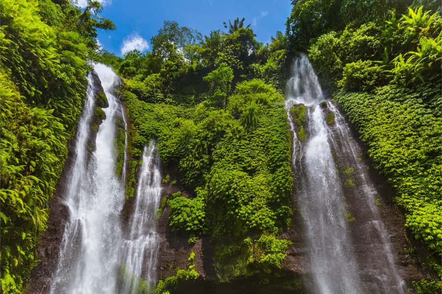 Bali: Lovina Beach and Bedugul Mountain Private Tour - Key Highlights You’ll Care About