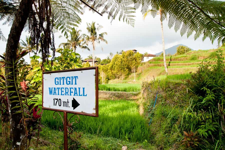 Bali: Lovina Beach and Bedugul Mountain Private Tour - Bali Handara Gate: The Iconic Stop You’ll Either Love or Skip