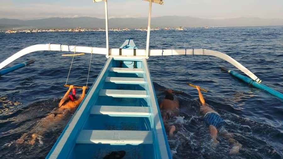 Bali: Lovina dolphin adventure with breakfast and snorkling. - Key highlights you’ll actually care about