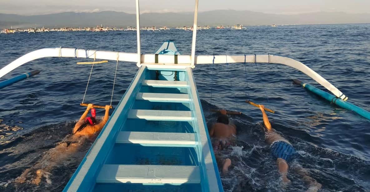Bali: Lovina dolphin adventure with breakfast and snorkling. - How to prepare: small details that make a big difference