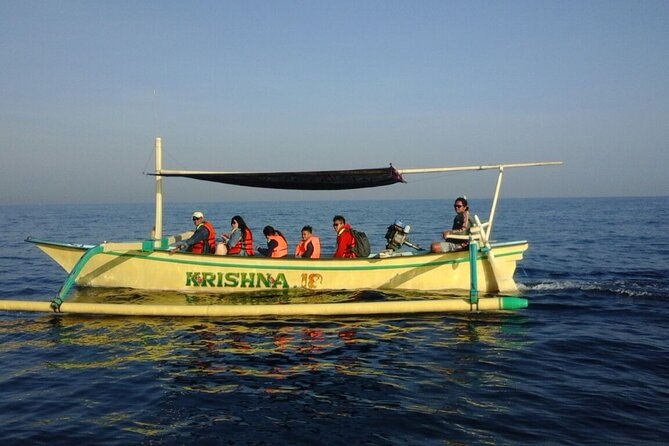 Bali Lovina Dolphin and North Bali Sightseeing - All Inclusive - The Value Hook: One Trip, Four Very Different North Bali Moments
