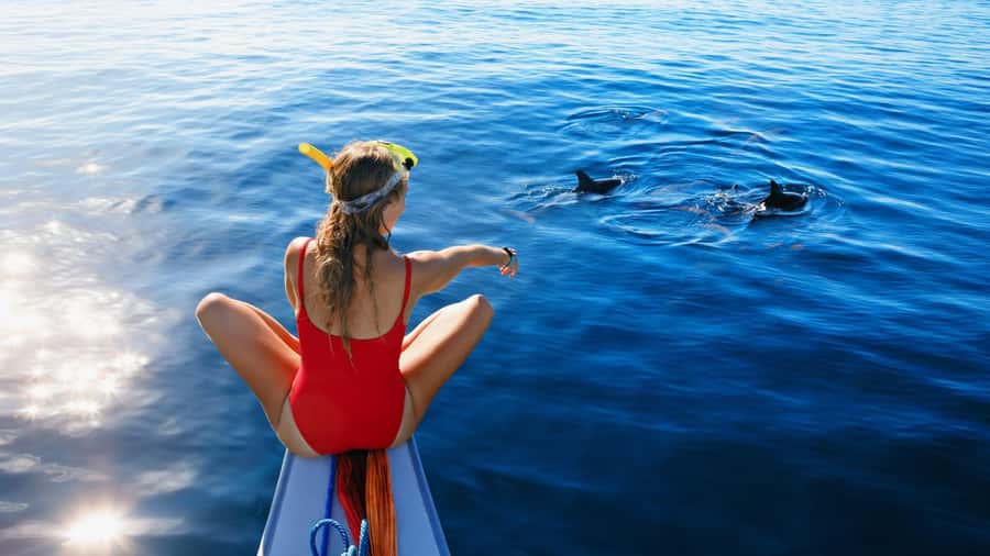 Bali/Lovina: Dolphin Snorkeling, Swimming & Waterfall Tour - Sunrise in Lovina: why the early start matters