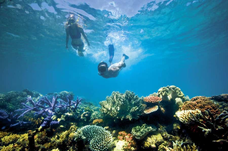 Bali/Lovina: Dolphin Snorkeling, Swimming & Waterfall Tour - Git Git Waterfall and Bali photo stops: turning sea time into land sights