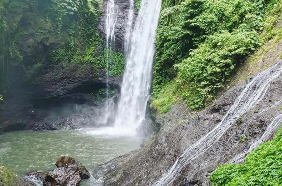 Bali/Lovina: Dolphin Snorkeling, Swimming & Waterfall Tour - Price and value: what $19 really buys (and what can cost extra)
