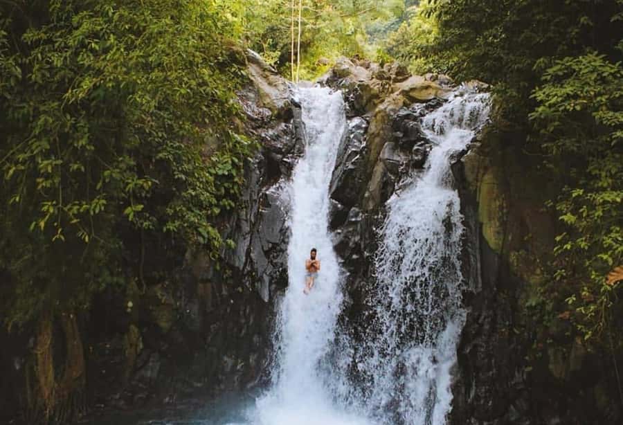 Bali/Lovina: Dolphin Snorkeling, Swimming & Waterfall Tour - Choosing the right start point and guide style