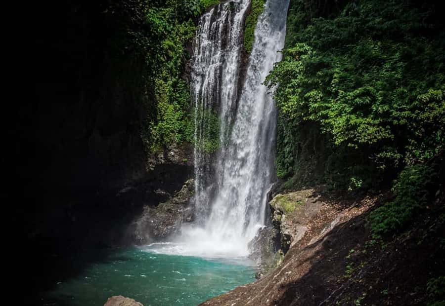 Bali/Lovina: Dolphin Snorkeling, Swimming & Waterfall Tour - Who should book this tour (and who should skip it)