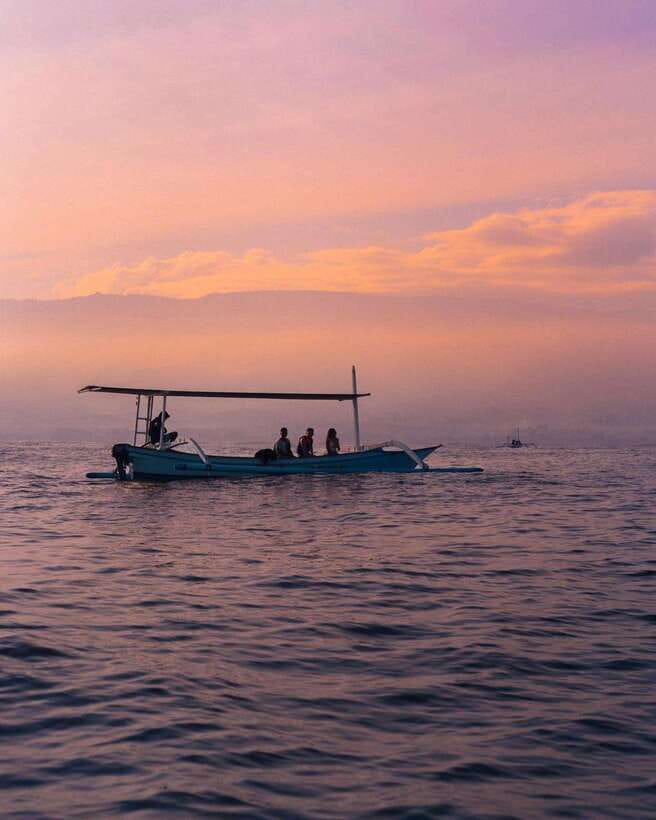 Bali Lovina dolphin Tour & Watching Sunrise - Should you book this Lovina dolphin sunrise tour?