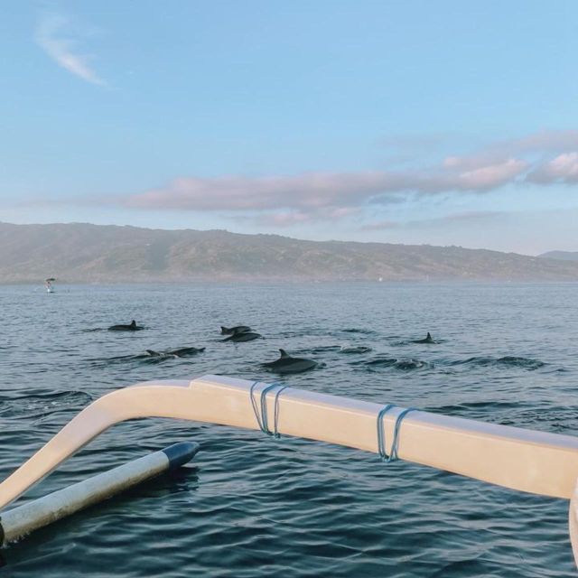 Bali Lovina dolphin Tour & Watching Sunrise - Timing, meeting point, and how to stay smooth