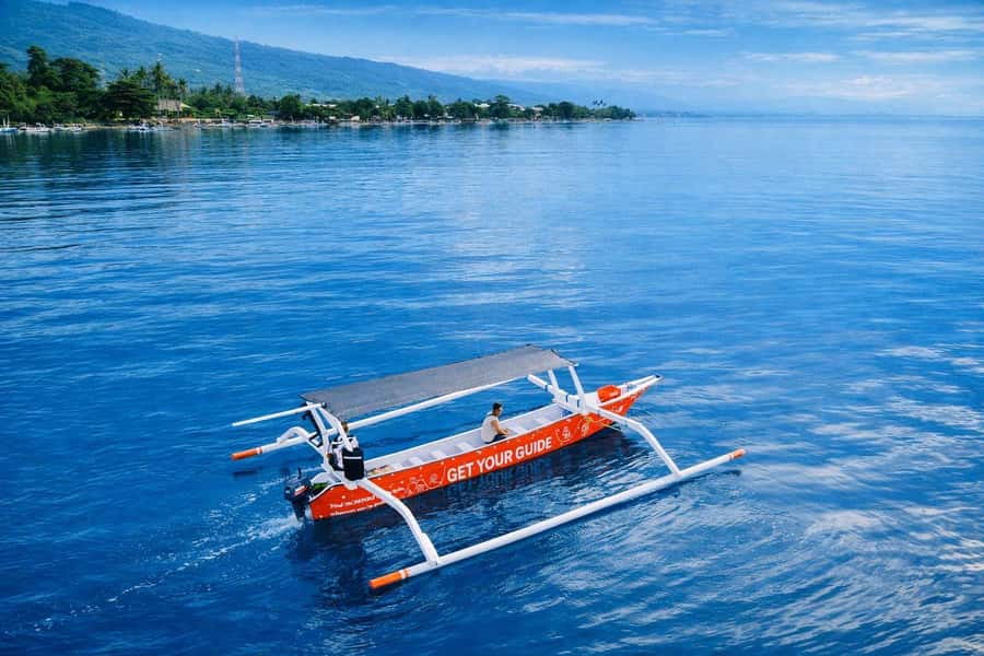 Bali/Lovina: Guided Dolphin Watching & Sunrise Boat Snorkel - The Dolphin Swim: What It Feels Like From the Float