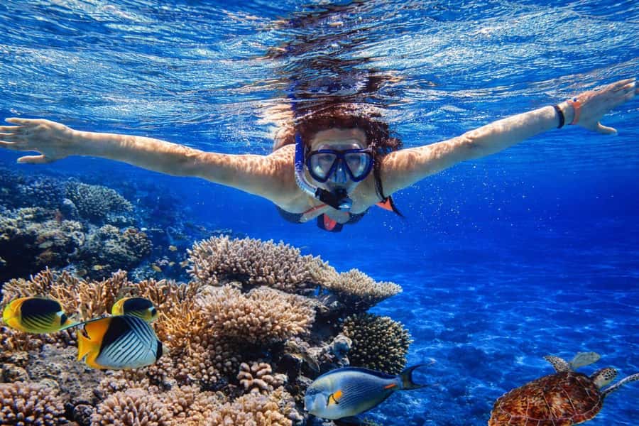 Bali/Lovina: Guided Dolphin Watching & Sunrise Boat Snorkel - Pickup, Transfers, and When Your Day Really Starts