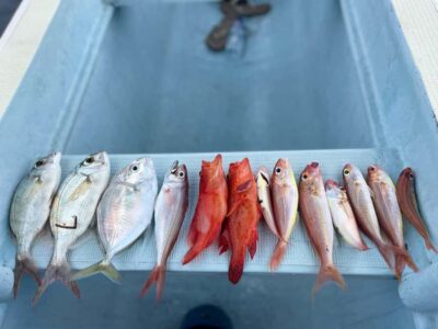Bali/Lovina: Private Fishing Tour with Snorkeling Option - What Happens Before You Cast a Line (Safety, Gear, and the Captain’s Role)