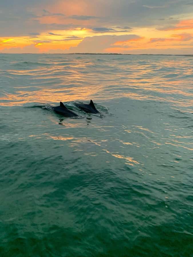 Bali: Lovina Sunset Tour with Snorkeling Experience - Price and value: why this tour often feels like a bargain