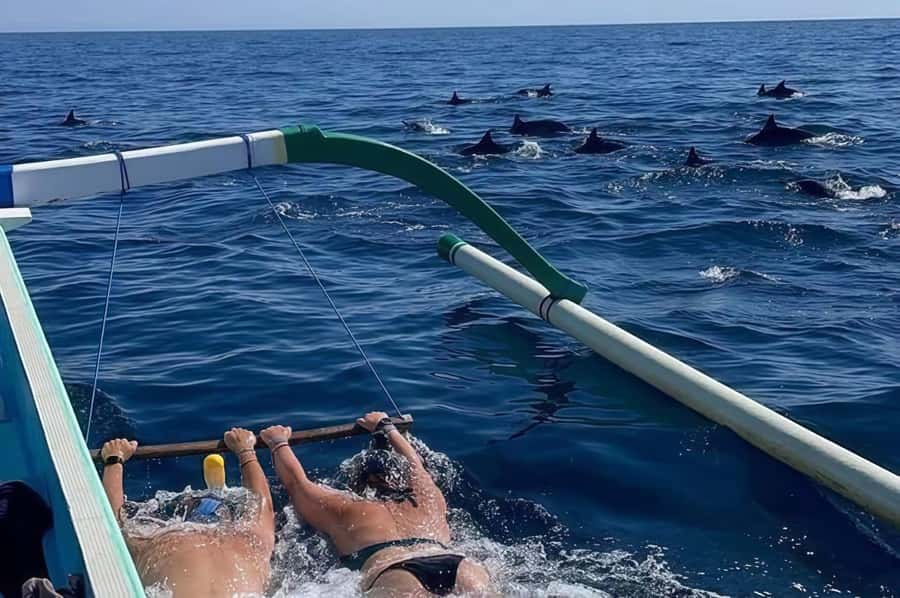 Bali: Lovina Swimming With Dolphine & Snorkeling Tour - Dolphin watching: what you actually get on the water