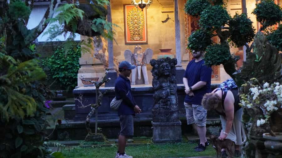 Bali: Magical Fireflies Tour in Taro Village with Dinner - Walking the rice fields and learning the subak rhythm