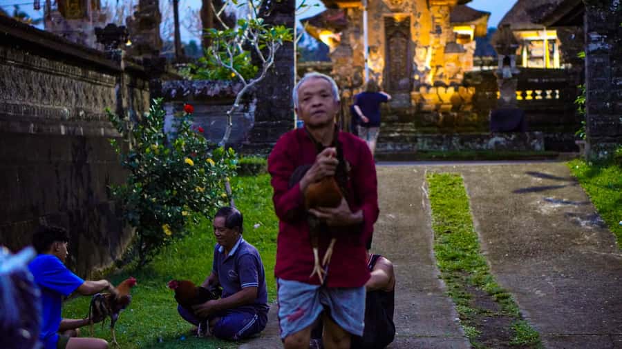 Bali: Magical Fireflies Tour in Taro Village with Dinner - Dinner under the stars: simple, local, and timed right