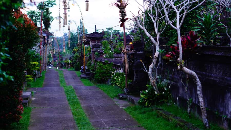 Bali: Magical Fireflies Tour in Taro Village with Dinner - Photos with the Sony camera: worth using, not just posing