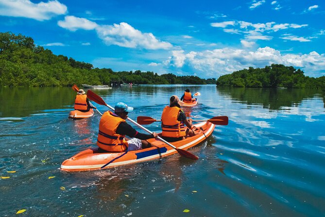 Bali Mangrove Canoeing Tour - What’s Included vs Not: Pack Like a Real Person