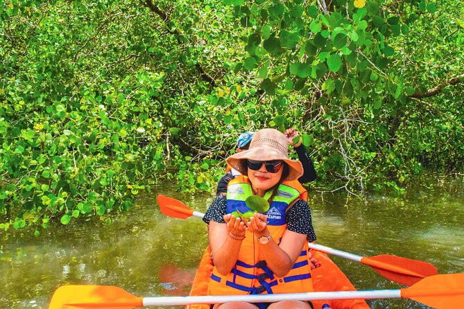 Bali Mangrove Canoeing Tour - Conservation You Can Support Without Being a Goody-Two-Shoes