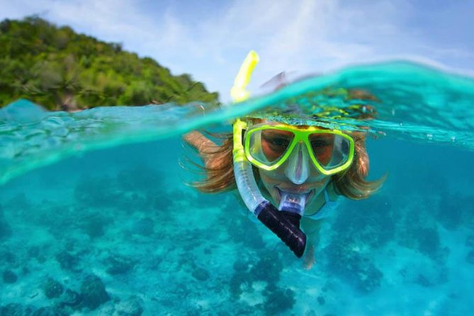 Bali Menjangan Island Snorkeling Day Tour - Door-to-door transfers from Ubud and Kuta (and why it’s worth it)