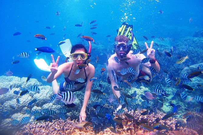 Bali Menjangan Island Snorkeling Day Tour - Stop 1: the Kuta Beach break and the road rhythm