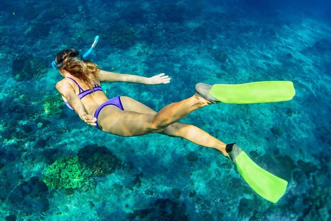 Bali Menjangan Island Snorkeling Day Tour - Menjangan Island: arriving at the quiet part of Bali