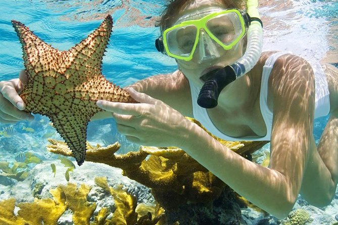 Bali Menjangan Island Snorkeling Day Tour - The main snorkeling time: what to expect in the water