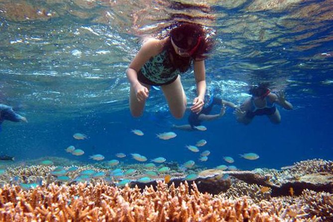 Bali Menjangan Island Snorkeling Day Tour - The early start: what 5:30am really means for you