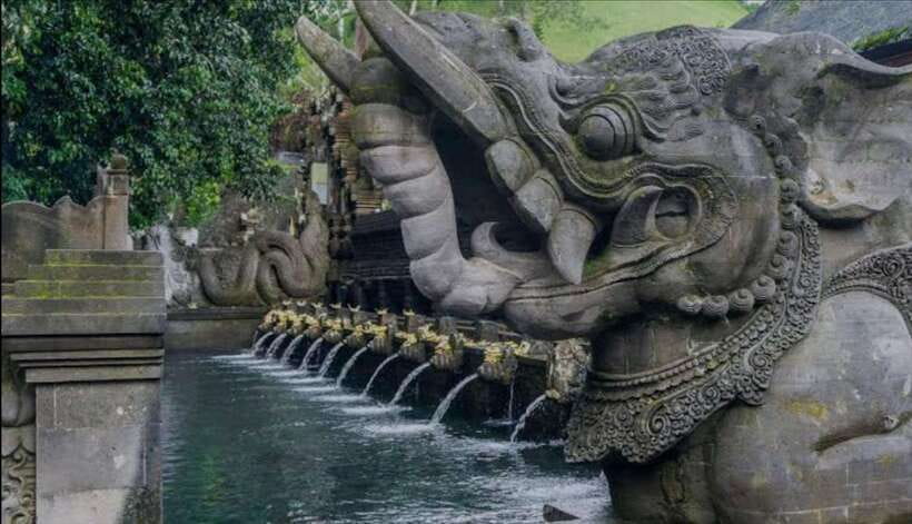 Bali: monkey forest, rice terrace, water temple, waterfall - Should You Book This Bali Monkey Forest–Temple–Waterfall Tour?