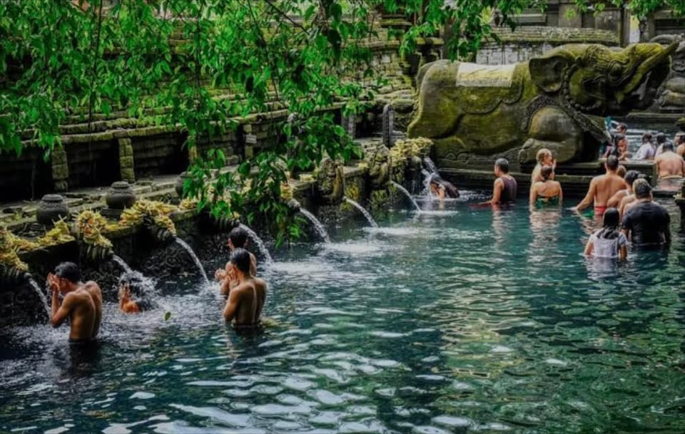 Bali: monkey forest, rice terrace, water temple, waterfall - Coffee Plantation Tasting: A Practical Break That Feels Local