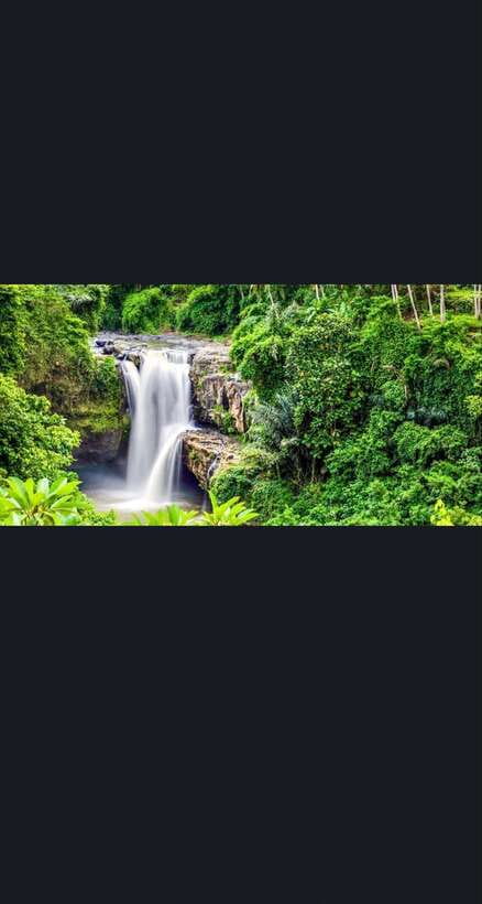 Bali: monkey forest, rice terrace, water temple, waterfall - Price and Value: Why $25 Can Be a Good Deal Here