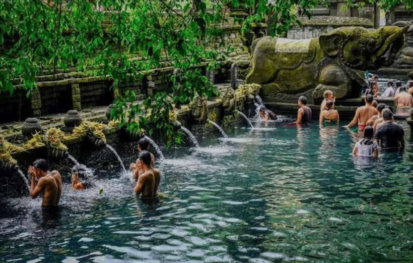 Bali: monkey forest, rice terrace, water temple, waterfall - Who This Tour Suits Best (And Who Should Skip It)